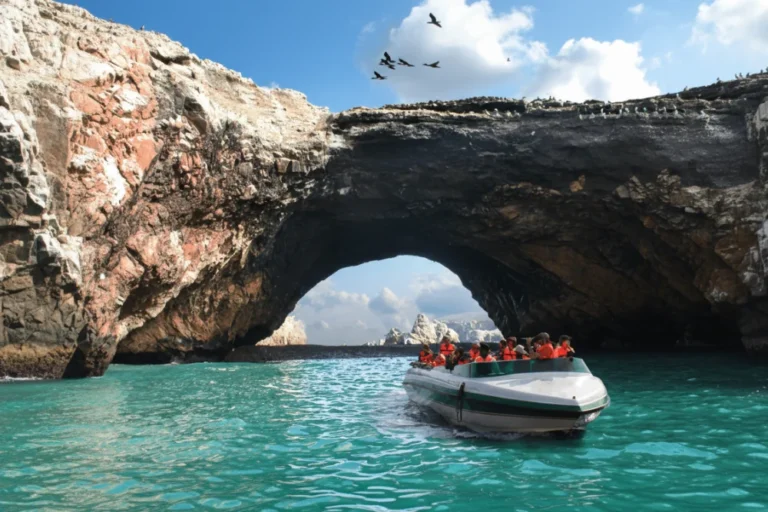 city tour Paracas & Islas Ballestas wego (2)