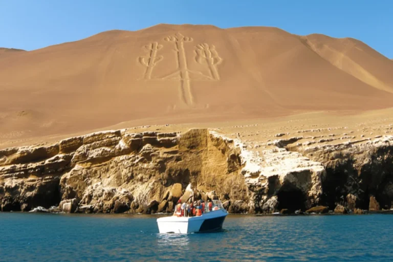 city tour Paracas & Islas Ballestas wego (3)