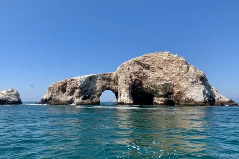 city tour Paracas & Islas Ballestas wego